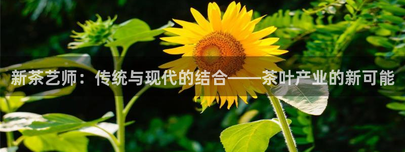 鸿运来手游平台