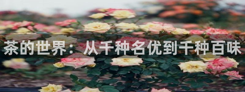 鸿运通平台客服