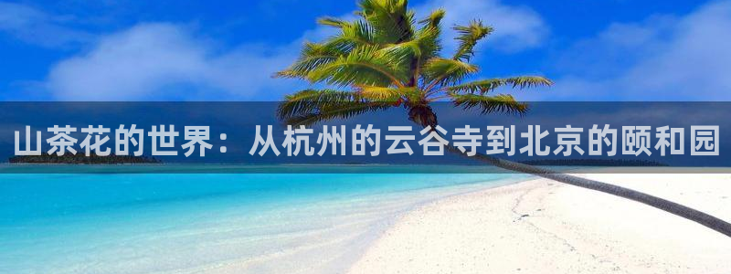 鸿运平台垫付任务