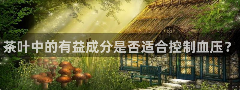 鸿运来是什么平台