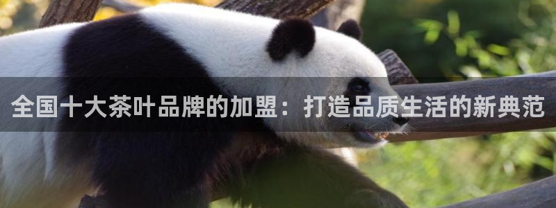 鸿运通平台可靠吗