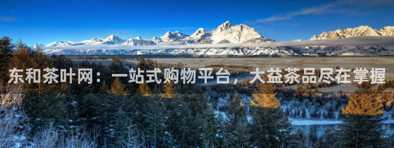 鸿运瓦罐团购平台