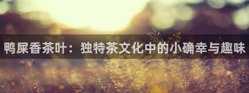 香港鸿运是什么平台