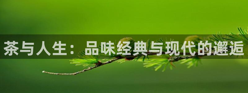 新鸿运娱乐平台