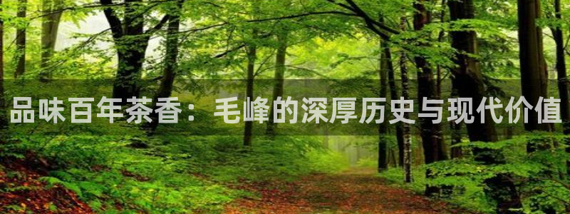 鸿运国际体育平台