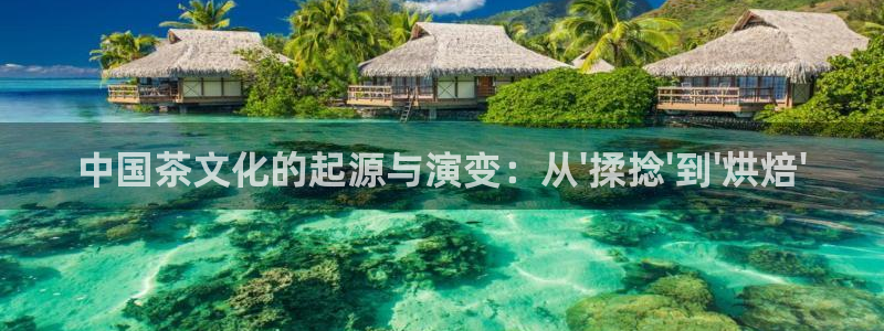 鸿运平台怎么赚钱