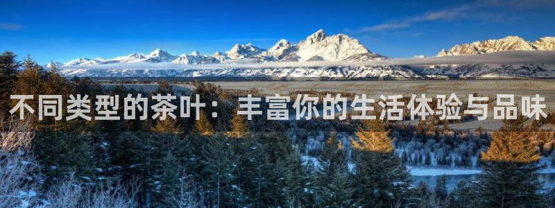 鸿运财富是什么平台