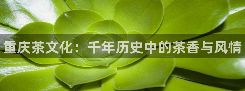 鸿运钱包平台正规吗