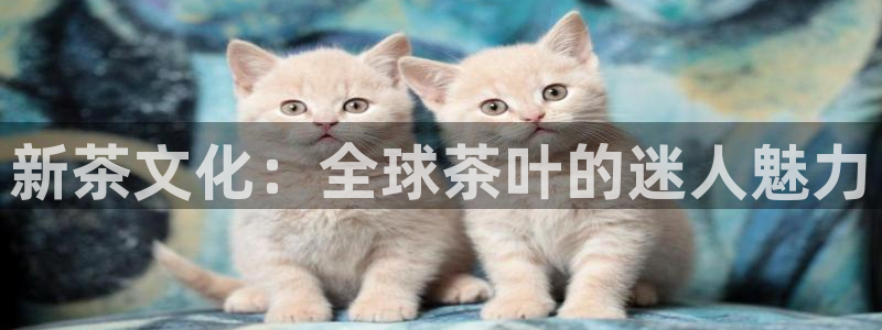 大发鸿运彩票平台