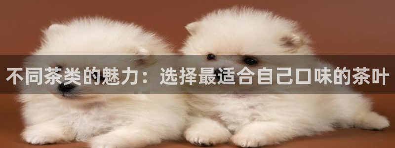 鸿运集团平台招聘要求