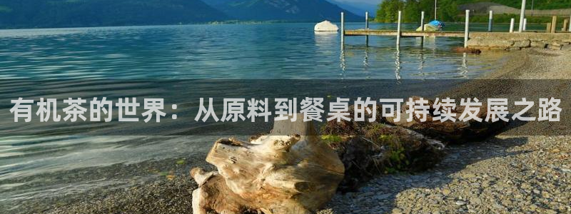 鸿运当头平台抽奖