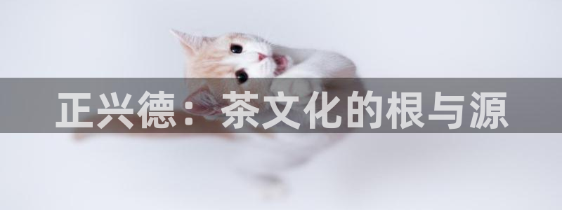 鸿运平台是骗局吗