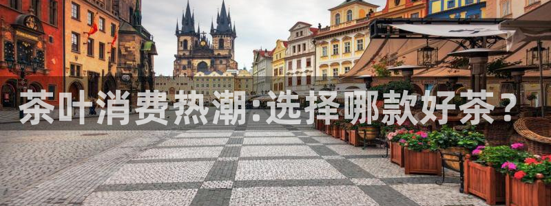 鸿运十三张充值平台