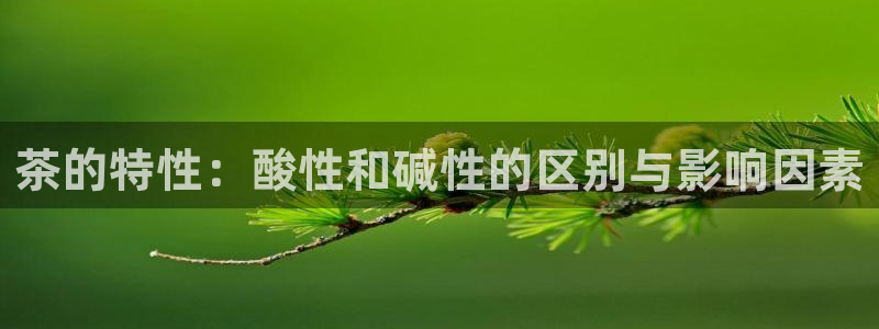 鸿运国际是什么游戏平台