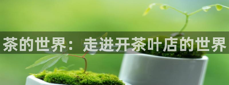 琥珀鸿运彩票平台靠谱吗