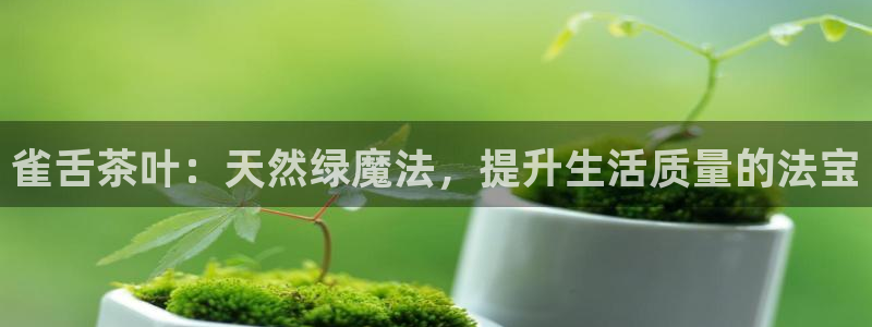 鸿运集团平台招聘信息