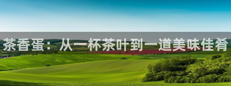 鸿运彩票网络平台下载