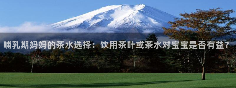 鸿运策略股票平台