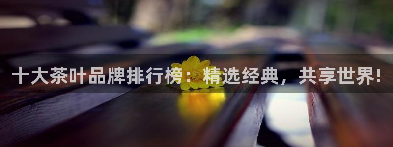 鸿运注册平台是什么