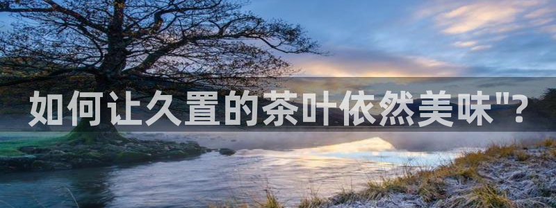 鸿运专业购彩平台网止