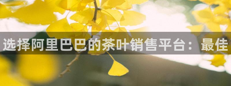 鸿运购是什么平台