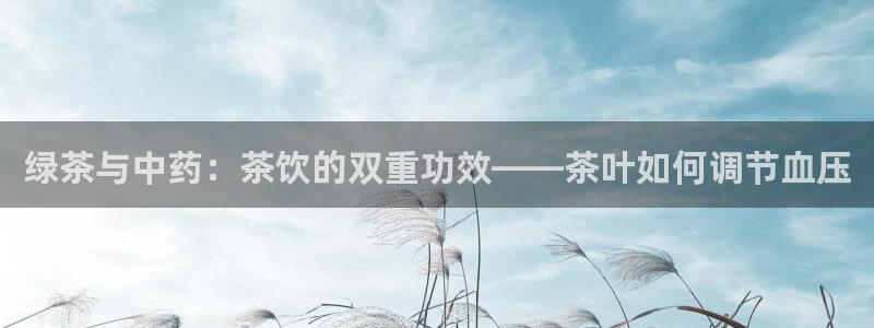 鸿运国际平台咋样