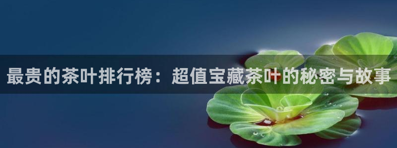 鸿运国际彩票平台