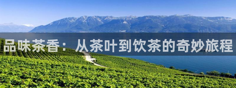 鸿运游戏棋牌平台