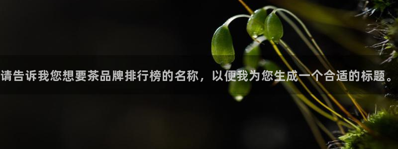 鸿运游戏棋牌平台