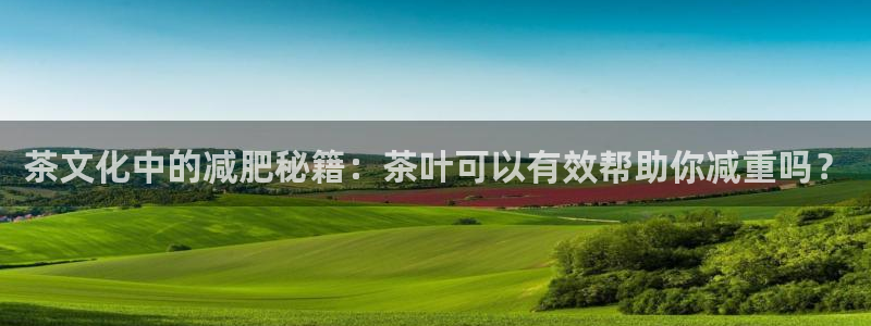 鸿运公司滴滴平台