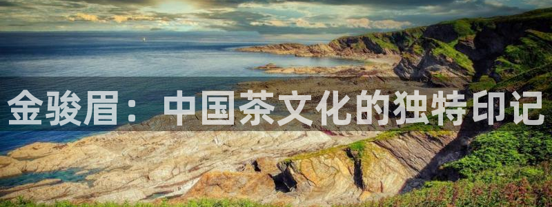 鸿运达出票平台