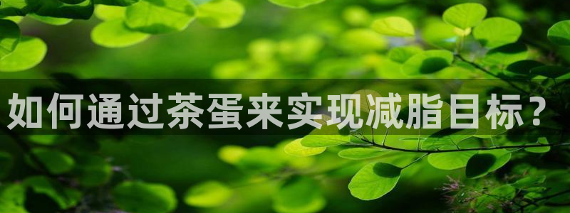 鸿运集团平台招聘要求