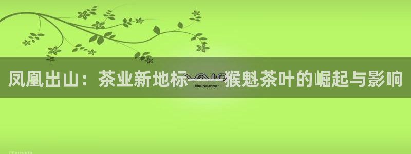 琥珀鸿运是怎样的平台