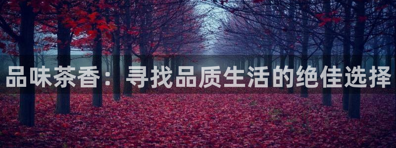 鸿运国际体育平台