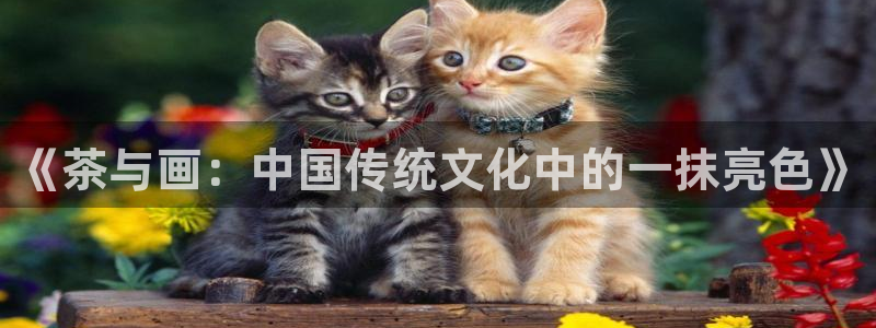 鸿运平台代还骗局