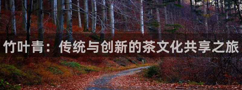 鸿运华宁技术平台