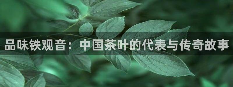 琥珀鸿运平台怎样赚钱的