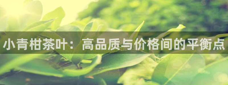 琥珀鸿运诈骗平台