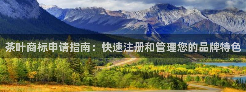 鸿运连连平台