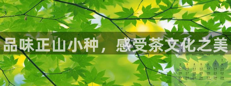 鸿运快三平台