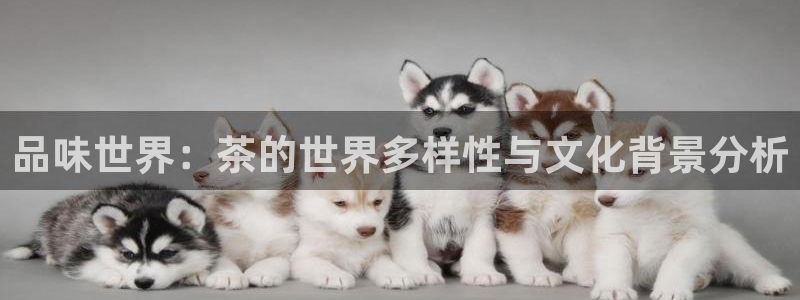 鸿运来补单平台