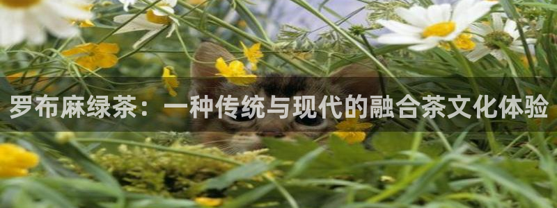 鸿运牛骨服务平台