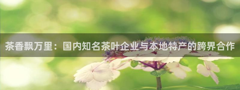 鸿运赌钱平台