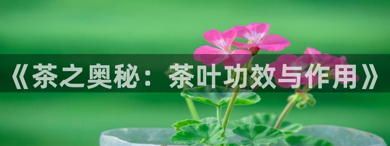 鸿运13水平台