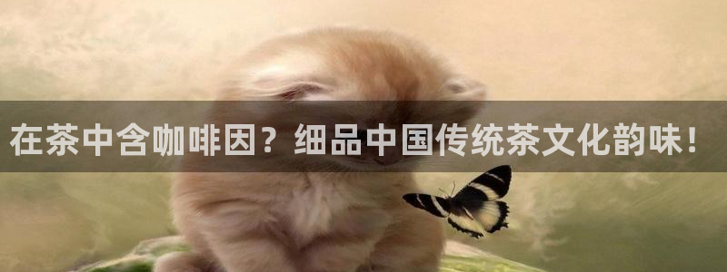 鸿运专业购彩平台网止