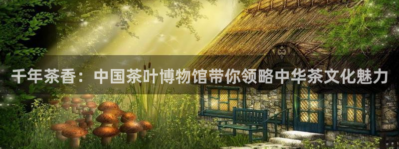 鸿运六月直播平台