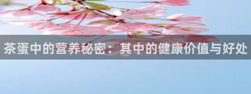 鸿运卡盟平台