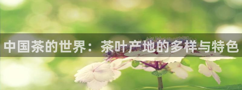 鸿运平台有哪些