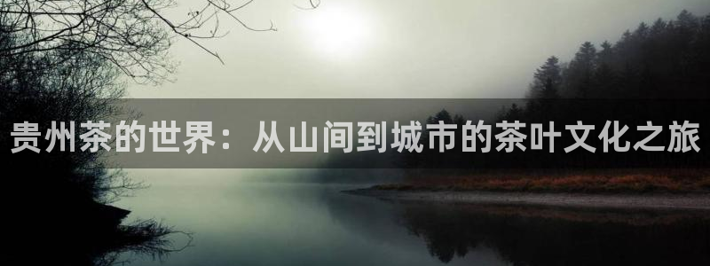焦作鸿运团体直播平台