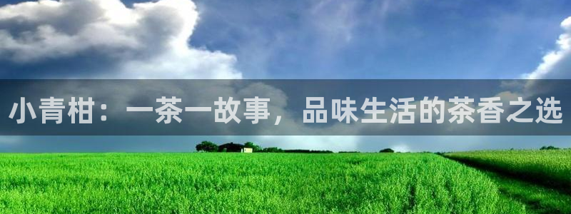 鸿运国际时时彩平台